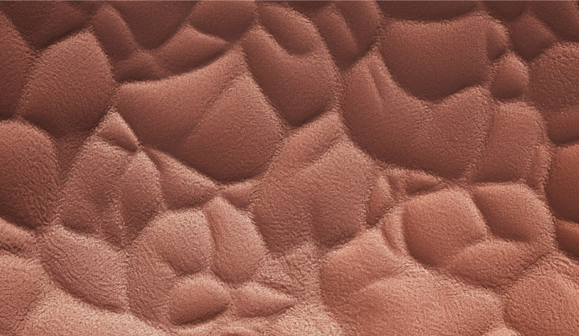 Thunder Leather